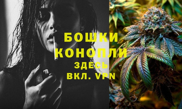 СК Горняк