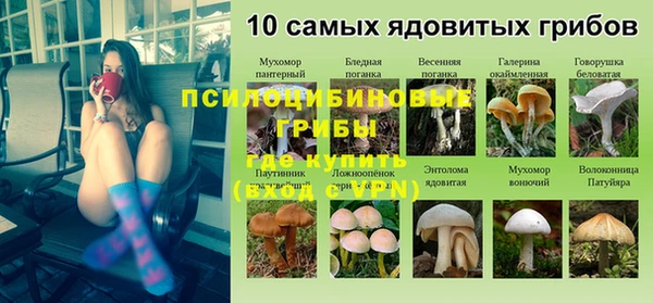наркотики Горно-Алтайск