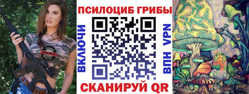 как найти закладки  Ковров  Псилоцибиновые грибы Cubensis 